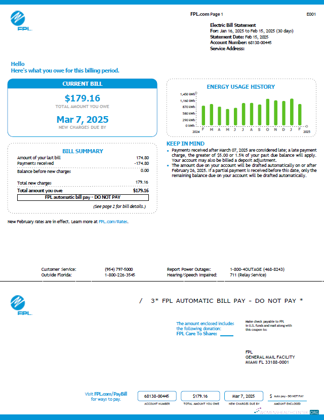 download download USA FPL utility bill template in Word and PDF formats, version 6 PDF template PDF template